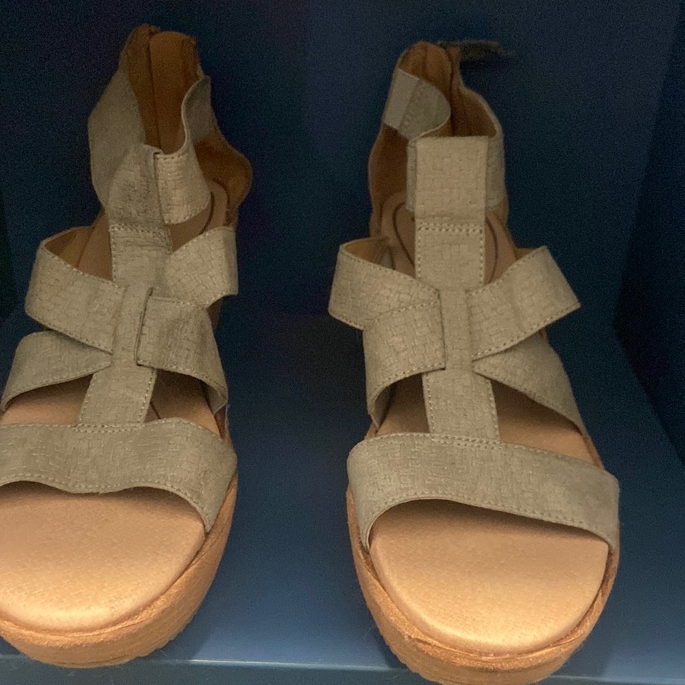 Dr Sholl’s shoes